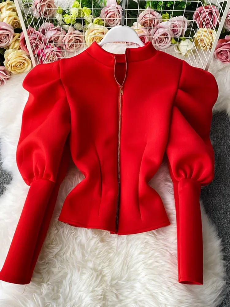 Temperament Stand-up Collar Shirt Women New Sping Autumn Winter Slim Long-sleeved Puff Sleeve Coat Top GX1462 - Image 3