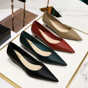 Fashion pointed toe mid heeled shoes 4 cm Stilettos Occupation OL Office shoes low-heel women shoes Kitten high heels Pumps Lady