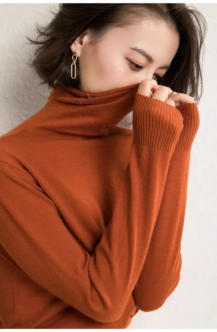 Women Sweater Autumn Winter Warm Turtleneck Bottiming Shirts Korean Fashion Long Sleeve Pullovers Slim Fit Casual Knitwears - Image 5